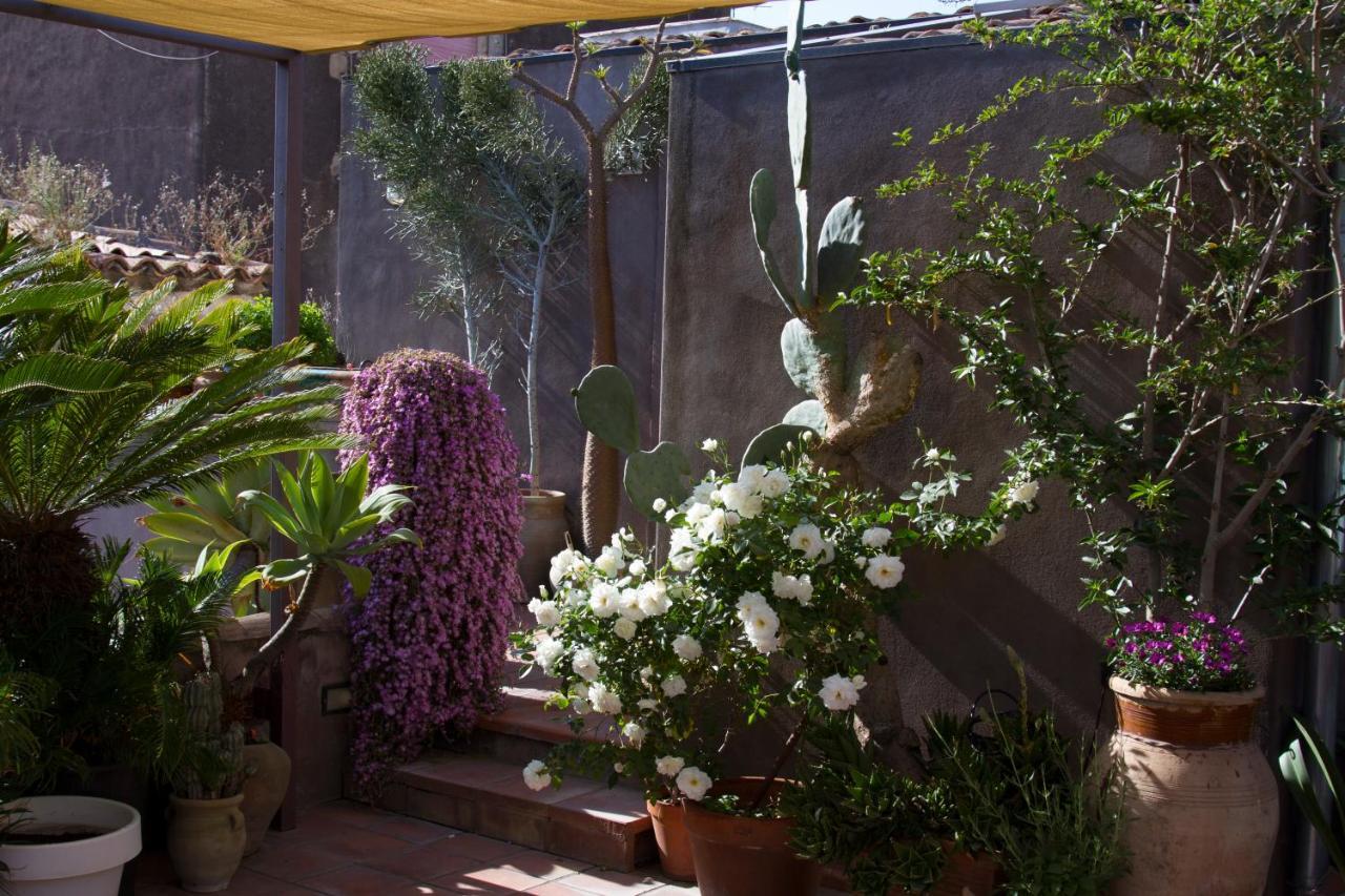 Tre Vie Apartment Con Terrazzo Giardino Pensile Катания Екстериор снимка